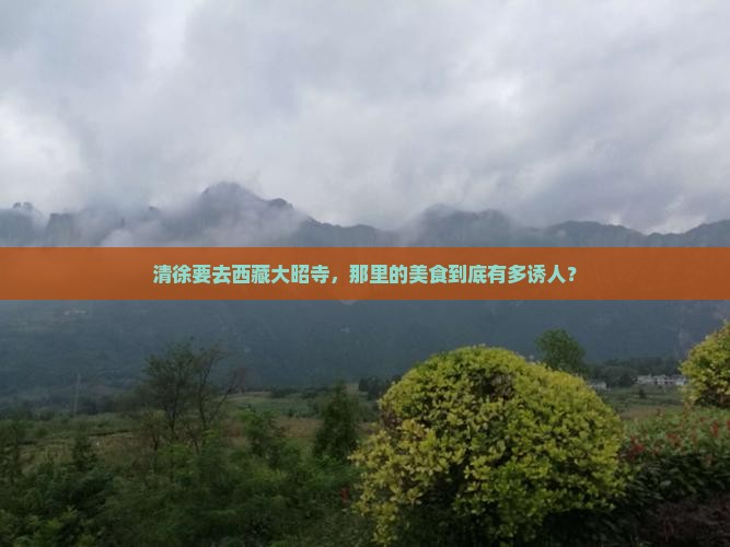 清徐去西藏大昭寺旅游小吃