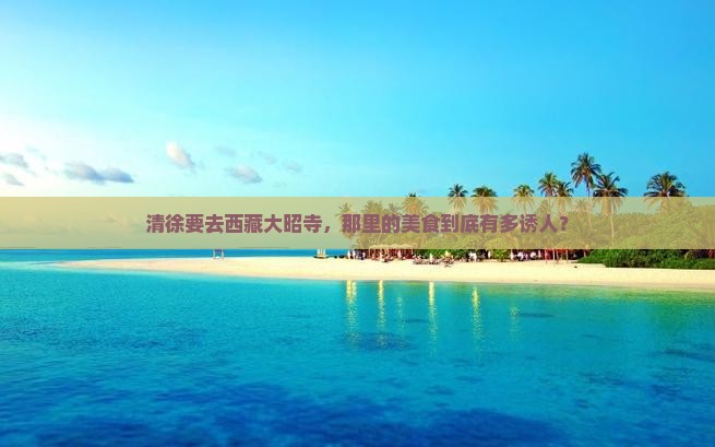清徐去西藏大昭寺旅游小吃