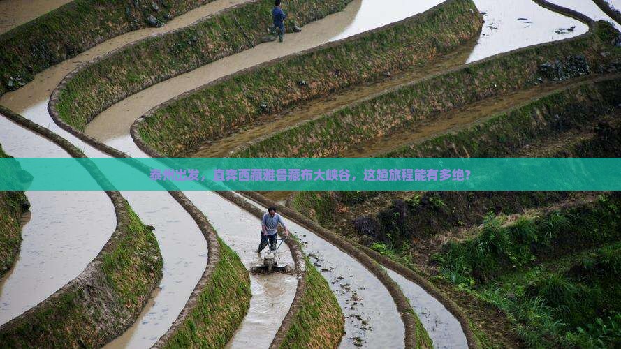 泰州到西藏雅鲁藏布大峡谷哪里玩