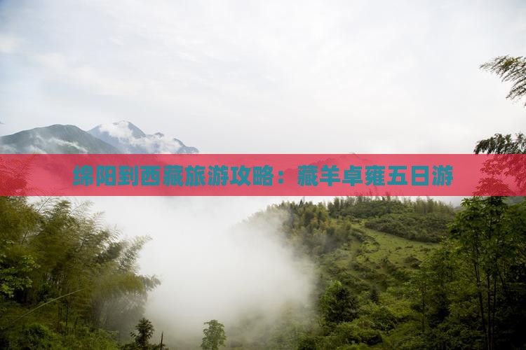 绵阳到西藏羊卓雍措五日游