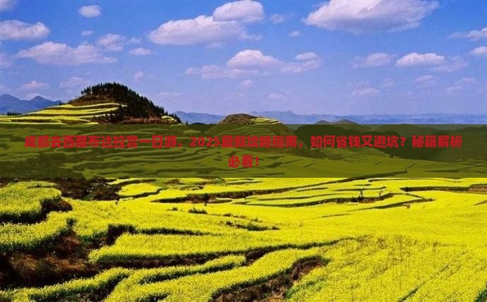 成都去西藏布达拉宫一日