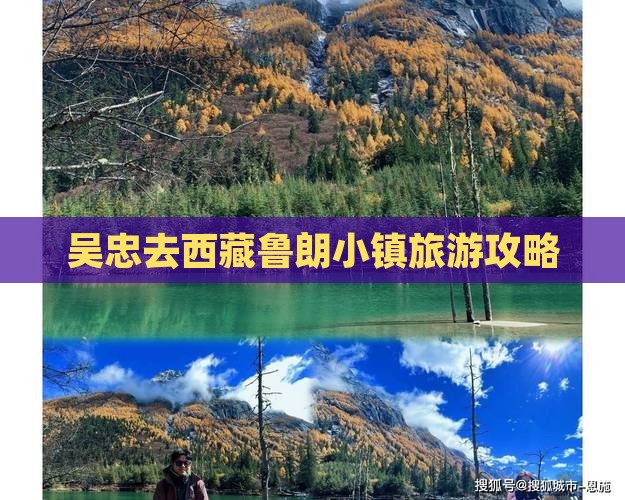 吴忠去西藏鲁朗小镇必去地