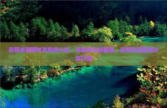 岳阳去西藏林芝旅游小吃