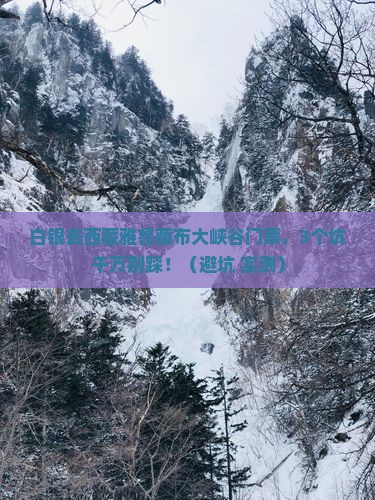 白银去西藏雅鲁藏布大峡谷门票