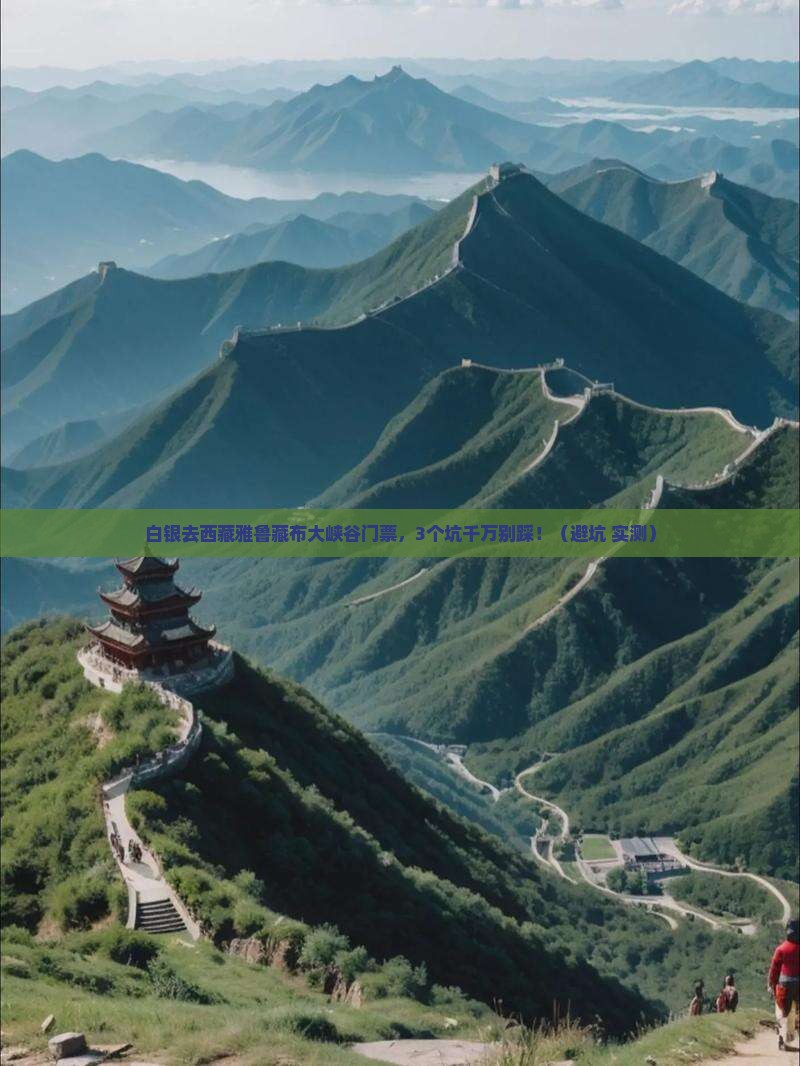 白银去西藏雅鲁藏布大峡谷门票
