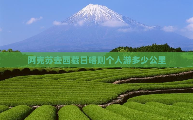 阿克苏去西藏日喀则个人游