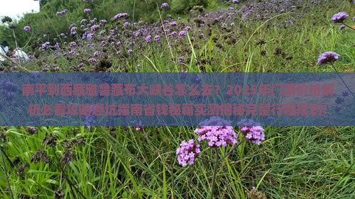 南平到西藏雅鲁藏布大峡谷门票
