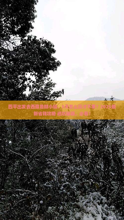 四平到西藏鲁朗小镇五日游