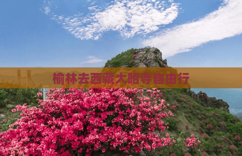 榆林去西藏大昭寺自由行