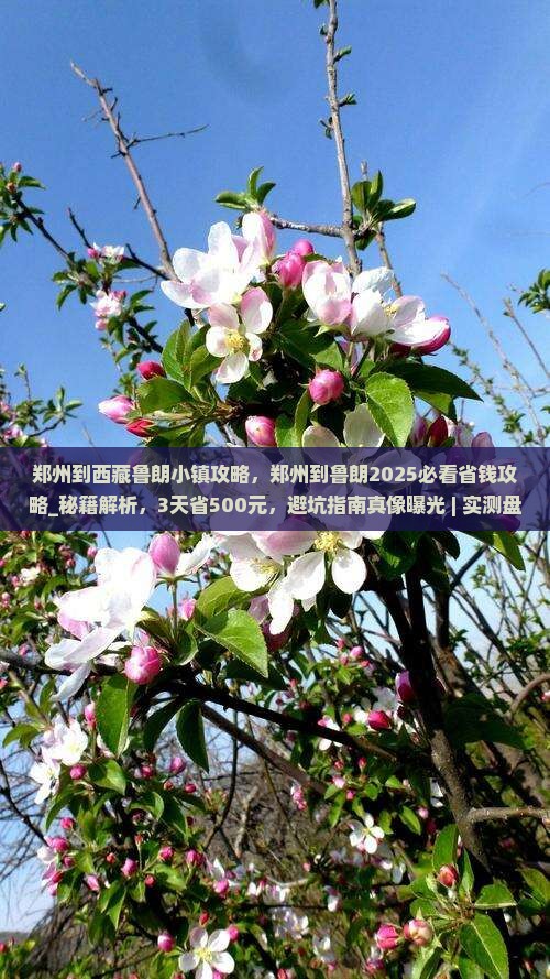 郑州到西藏鲁朗小镇攻略
