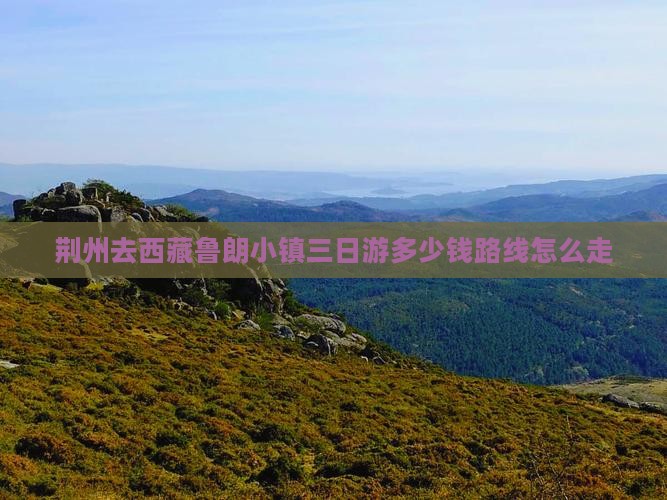 荆州去西藏鲁朗小镇三日游