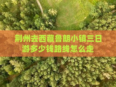 荆州去西藏鲁朗小镇三日游