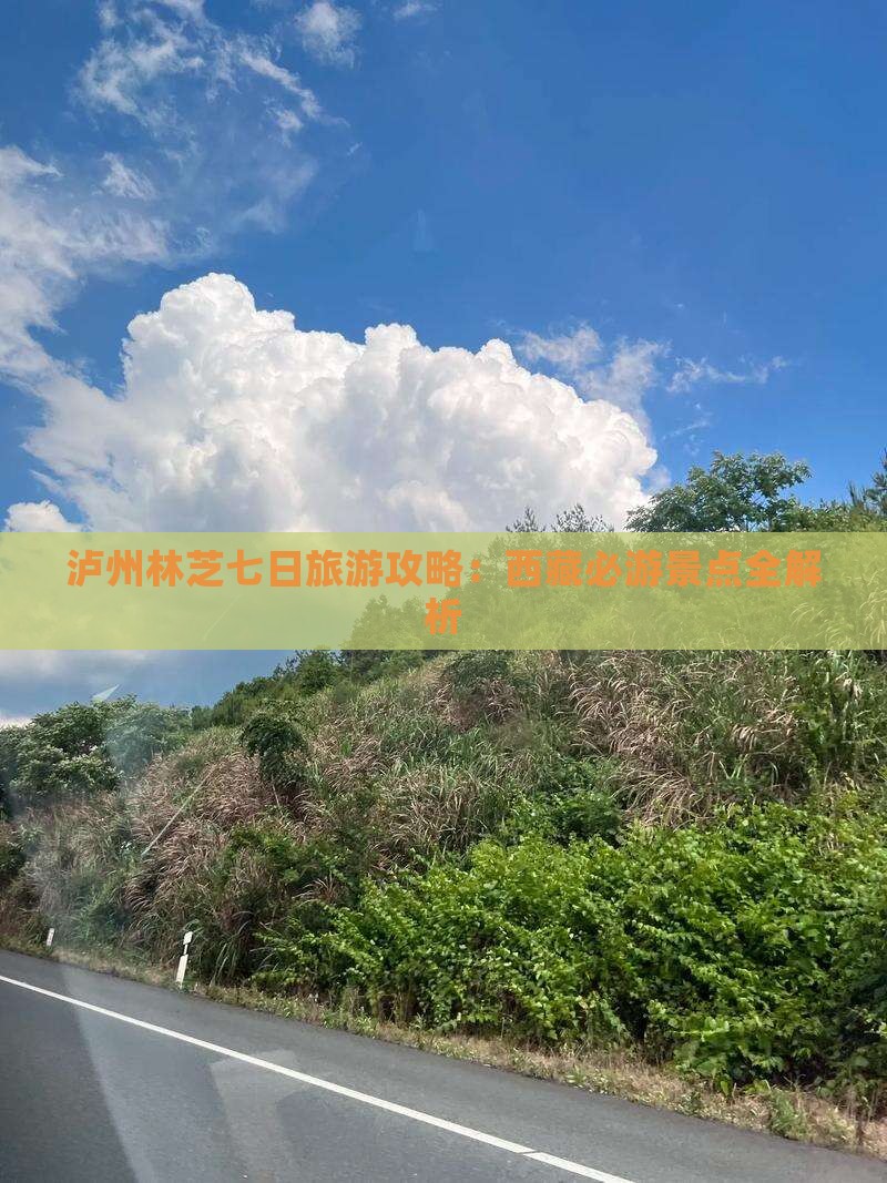 泸州去西藏林芝七日游
