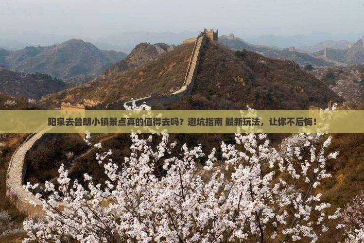 阳泉去西藏鲁朗小镇景点