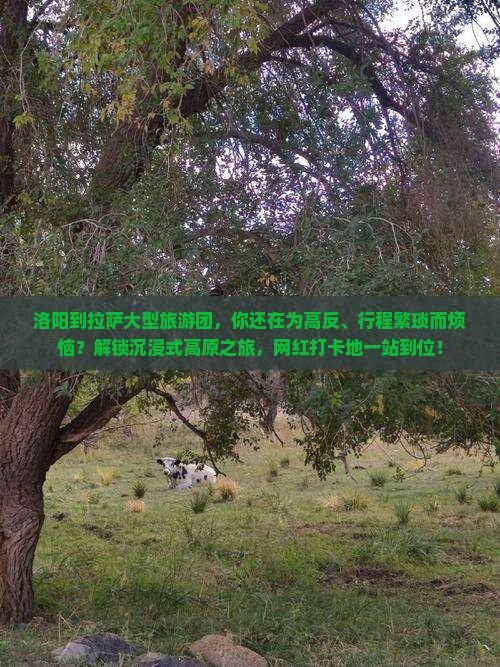 洛阳到西藏拉萨大型旅游团