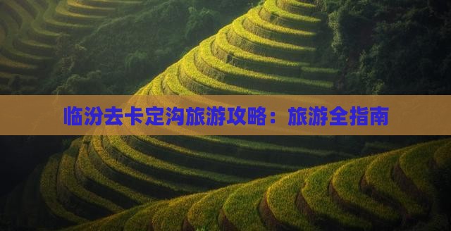 临汾去西藏卡定沟团体旅游