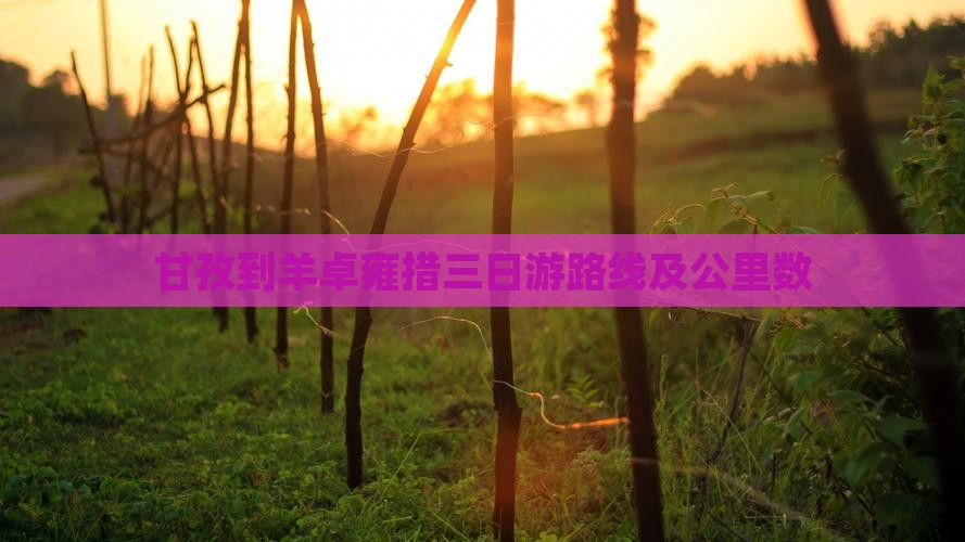 甘孜到西藏羊卓雍措三日游