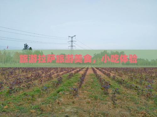 河池去西藏拉萨旅游小吃