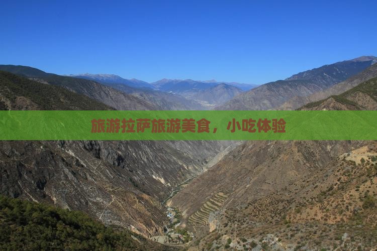 河池去西藏拉萨旅游小吃