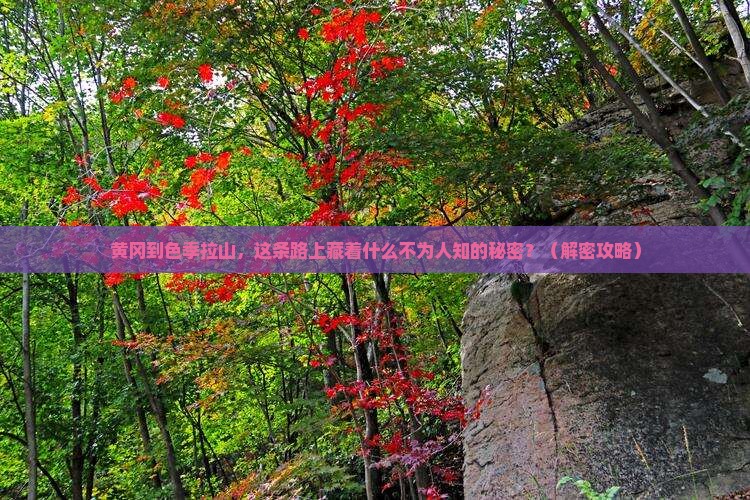 黄冈到西藏色季拉山景点