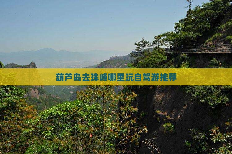 葫芦岛去西藏珠峰大本营哪里玩