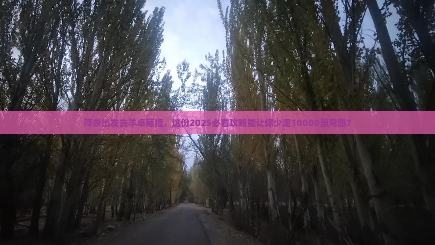 萍乡到西藏羊卓雍措团体旅游