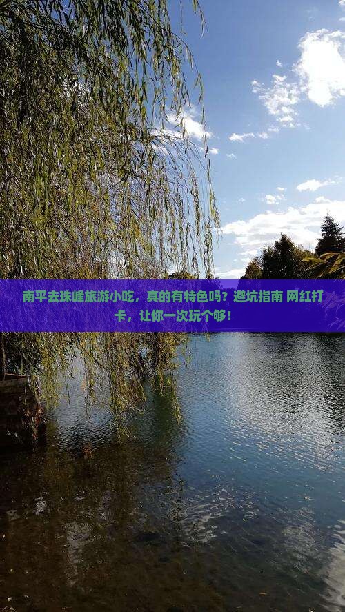 南平去西藏珠峰大本营旅游小吃