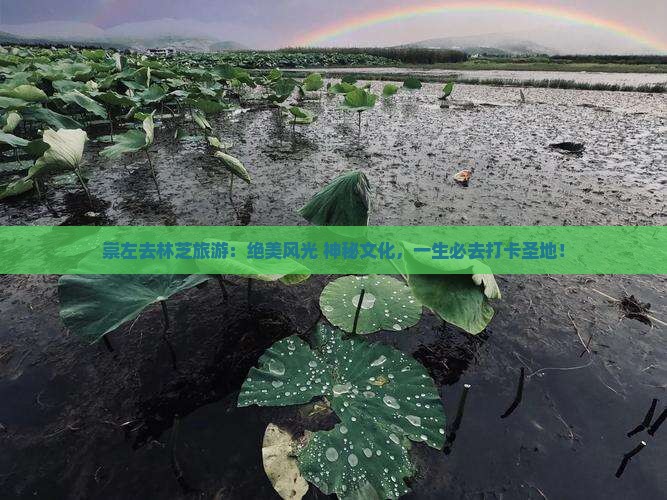 崇左去西藏林芝旅游