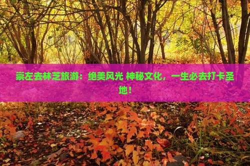 崇左去西藏林芝旅游