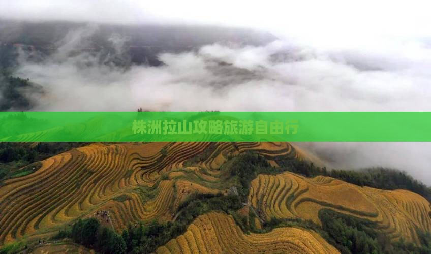 株洲去西藏色季拉山自由行