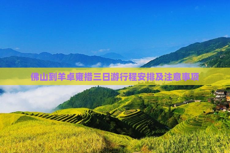 佛山到西藏羊卓雍措三日游
