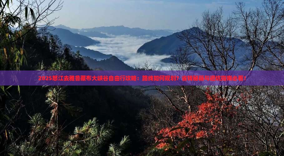 怒江去西藏雅鲁藏布大峡谷自由行