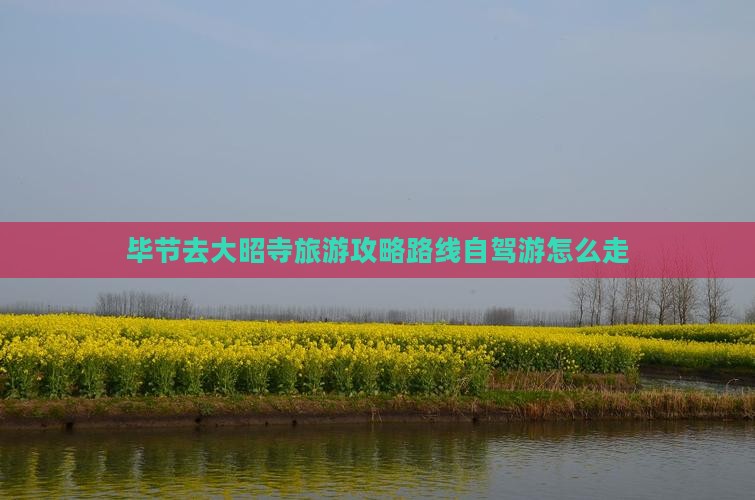 毕节去西藏大昭寺旅游