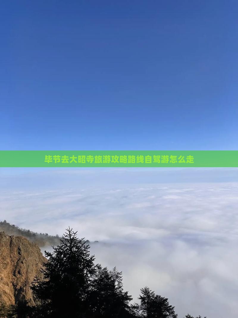 毕节去西藏大昭寺旅游