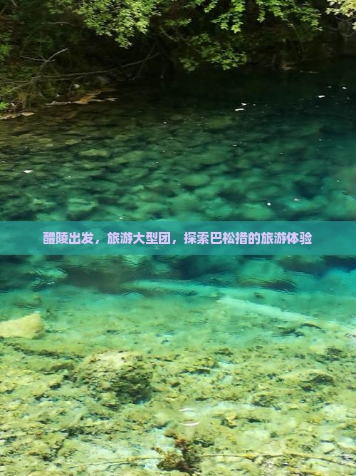 醴陵到西藏巴松措大型旅游团