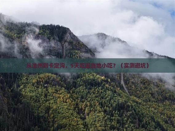 池州到西藏卡定沟旅游小吃