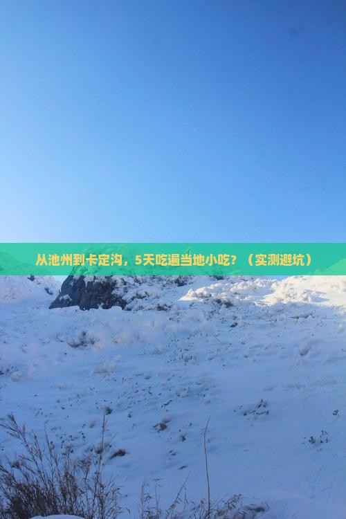 池州到西藏卡定沟旅游小吃