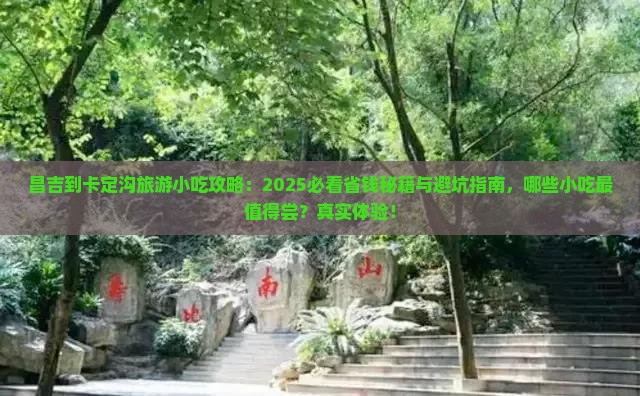 昌吉到西藏卡定沟旅游小吃