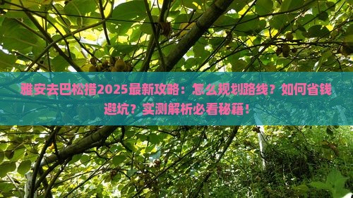 雅安去西藏巴松措攻略