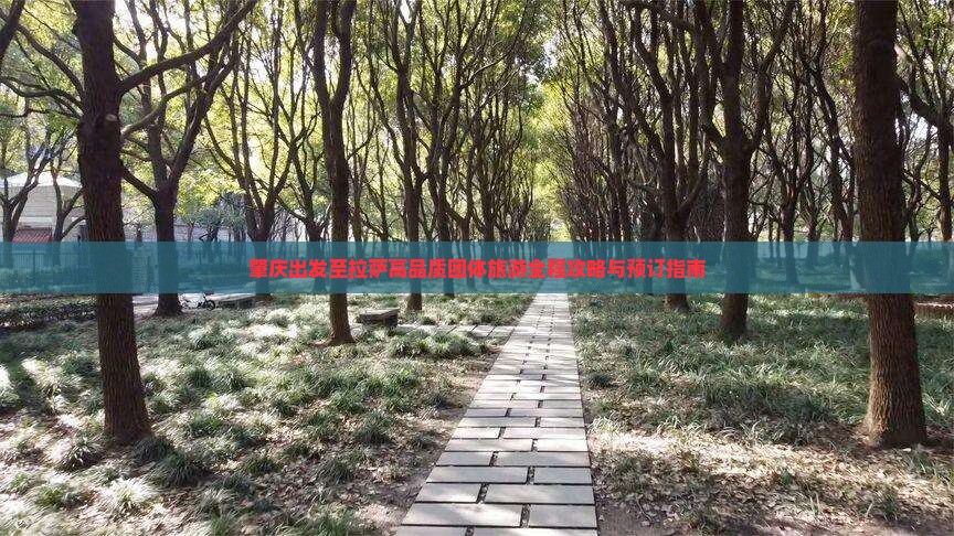 肇庆出发至拉萨高品质团体旅游全程攻略与预订指南