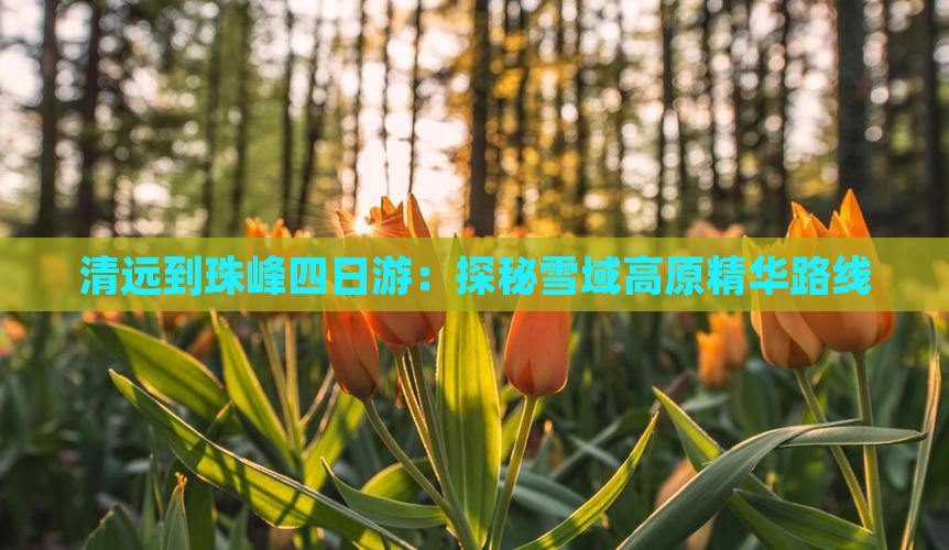 清远到珠峰四日游：探秘雪域高原精华路线