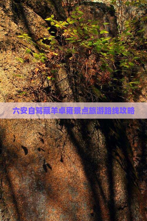 六安自驾藏羊卓雍景点旅游路线攻略