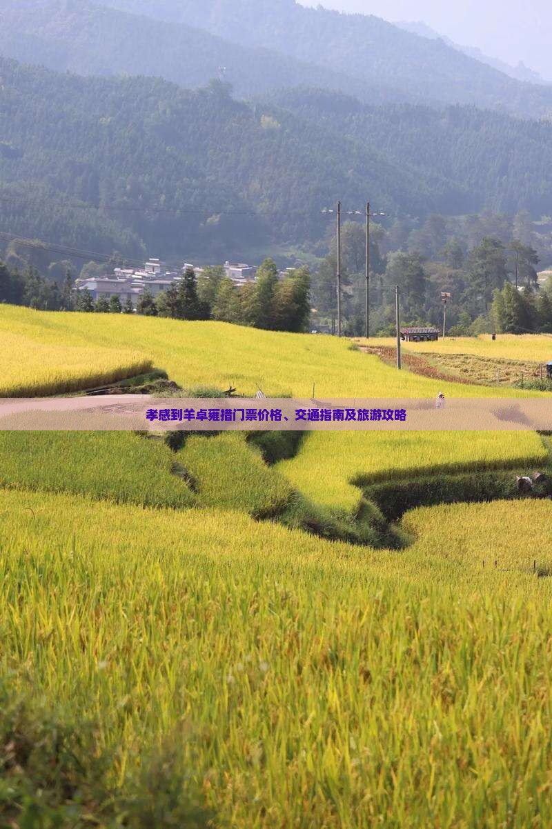 孝感到羊卓雍措门票价格、交通指南及旅游攻略