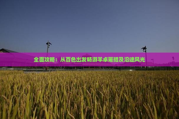 全面攻略：从百色出发畅游羊卓雍措及沿途风光