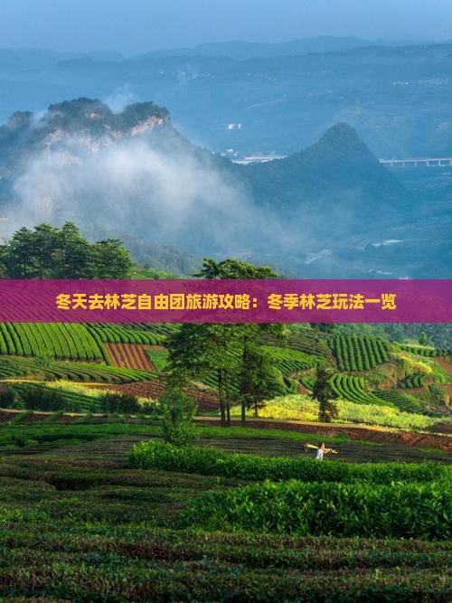 冬天去林芝自由团旅游攻略：冬季林芝玩法一览