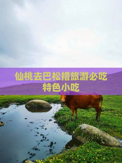 仙桃去巴松措旅游必吃特色小吃