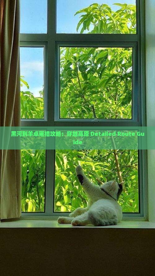 黑河到羊卓雍措攻略：穿越高原 Detailed Route Guide