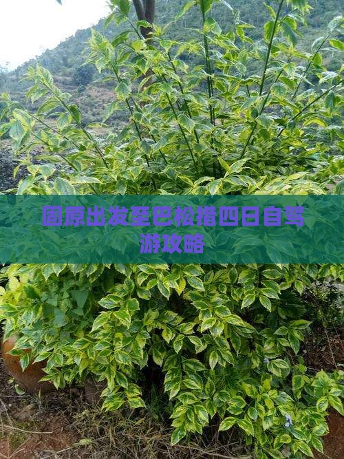 固原出发至巴松措四日自驾游攻略