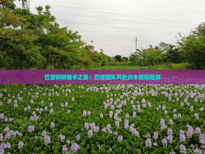 巴音郭楞携手之旅：巴音团队共赴纳木措探险游