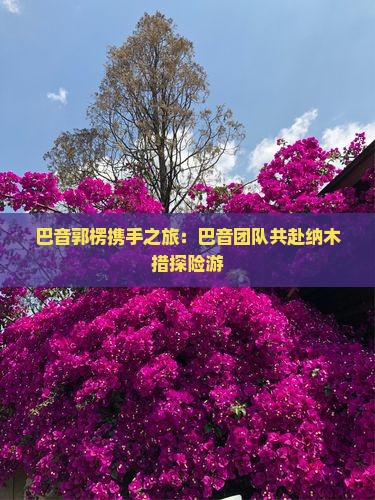 巴音郭楞携手之旅：巴音团队共赴纳木措探险游